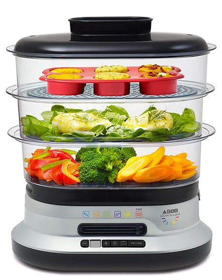 utilisation seb steam n light